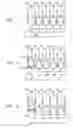 Fig. 07 - Packaging machine including laterally movable conveyor