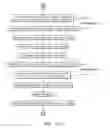 Fig. 16 - Assembly and method for cryo-preservation of specimens in a cryogen-free environment