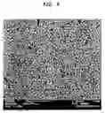 Fig. 03 - Polycrystalline material having a plurality of single crystal particles