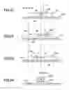 Fig. 08 - Method of controlling mover device