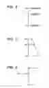 Fig. 04 - Control apparatus for driving vehicle and control method for driving vehicle