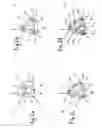 Fig. 03 - Fuel injector