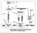 Fig. 01 - System, vaporizing fuel in vehicle