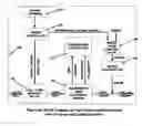 Fig. 06 - System, vaporizing fuel in vehicle