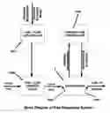 Fig. 01 - System for vaporizing liquid fuel