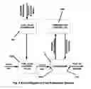 Fig. 10 - System for vaporizing liquid fuel