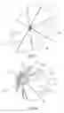 Fig. 04 - Umbrella structure