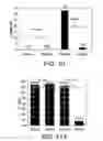 Fig. 08 - Silicon solar cells and methods of fabrication