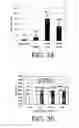 Fig. 22 - Silicon solar cells and methods of fabrication