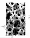 Fig. 02 - Method for producing cryogenic, solid monopropellants and solid propellants produced according to said method