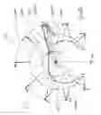 Fig. 09 - Oscillating-arm apparatus for producing a tire reinforcement from a single thread