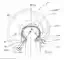 Fig. 10 - Oscillating-arm apparatus for producing a tire reinforcement from a single thread