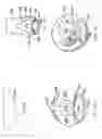 Fig. 07 - Device and methodology for improved mixing of liquids and solids