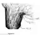Fig. 19 - Nozzle bore for high flow rates