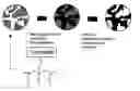 Fig. 01 - Porous, molecularly imprinted polymer and a process for the preparation thereof