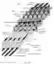 Fig. 63 - Method of fabricating inkjet nozzle