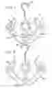 Fig. 02 - Bootyhook sporting goods hanger