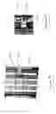 Fig. 07 - Multi-zone integral face bypass coil system