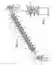 Fig. 02 - Roller bar security device and fence
