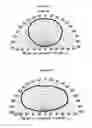 Fig. 08 - Light emitting diode package assembly that emulates the light pattern produced by an incandescent filament bulb