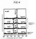Fig. 04 - Method for fabricating a silicide film, multilayered intermediate structure and multilayered structure