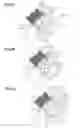 Fig. 03 - Separating and transporting flexible two-dimensional (sheet-like) products