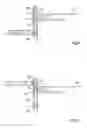 Fig. 04 - Device for aligning sheets deposited on a sheet stack