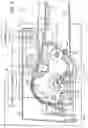 Fig. 03 - Media detection