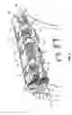 Fig. 03 - Dual path roll for an image forming device