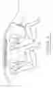 Fig. 02 - Side curtain air bag device