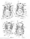 Fig. 09 - Connector assembly
