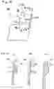 Fig. 09 - Mounting structure of automobile door