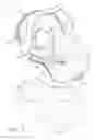 Fig. 02 - Infant carrier frame