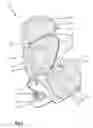 Fig. 02 - Child booster seat