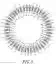 Fig. 06 - Stator winding structure of a motor or a generator