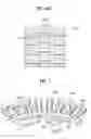 Fig. 08 - Stator of outer rotor type motor for drum type washing machine