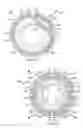 Fig. 04 - Azimuthally focused electromagnetic measurement tool