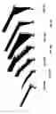 Fig. 31 - Cantilever microprobes for contacting electronic components and methods for making such probes