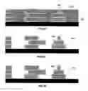 Fig. 10 - Electrochemical fabrication process for forming multilayer multimaterial microprobe structures