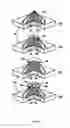 Fig. 04 - Three-dimensional analog input control device