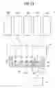 Fig. 15 - Liquid ejecting apparatus and capping member used in the same