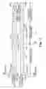Fig. 13 - Wide array fluid ejection device
