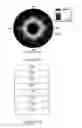 Fig. 09 - Optical compensator for liquid crystal display