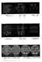 Fig. 16 - Methods, apparatus, and systems for evaluating gemstones