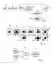 Fig. 02 - Dot-gain reduction method for multi-level halftoning