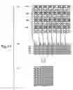 Fig. 12 - Image output device
