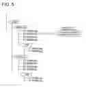 Fig. 07 - Image display program and information recording medium for storing the image display program