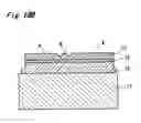 Fig. 47 - Semiconductor laser having protruding portion