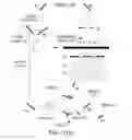 Fig. 13 - METHOD FOR REARRANGING THE ELEMENTAL IMAGES OF AN INTEGRAL PHOTOGRAPH USING HOLOGRAPHY