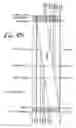 Fig. 60 - Zoom lens system